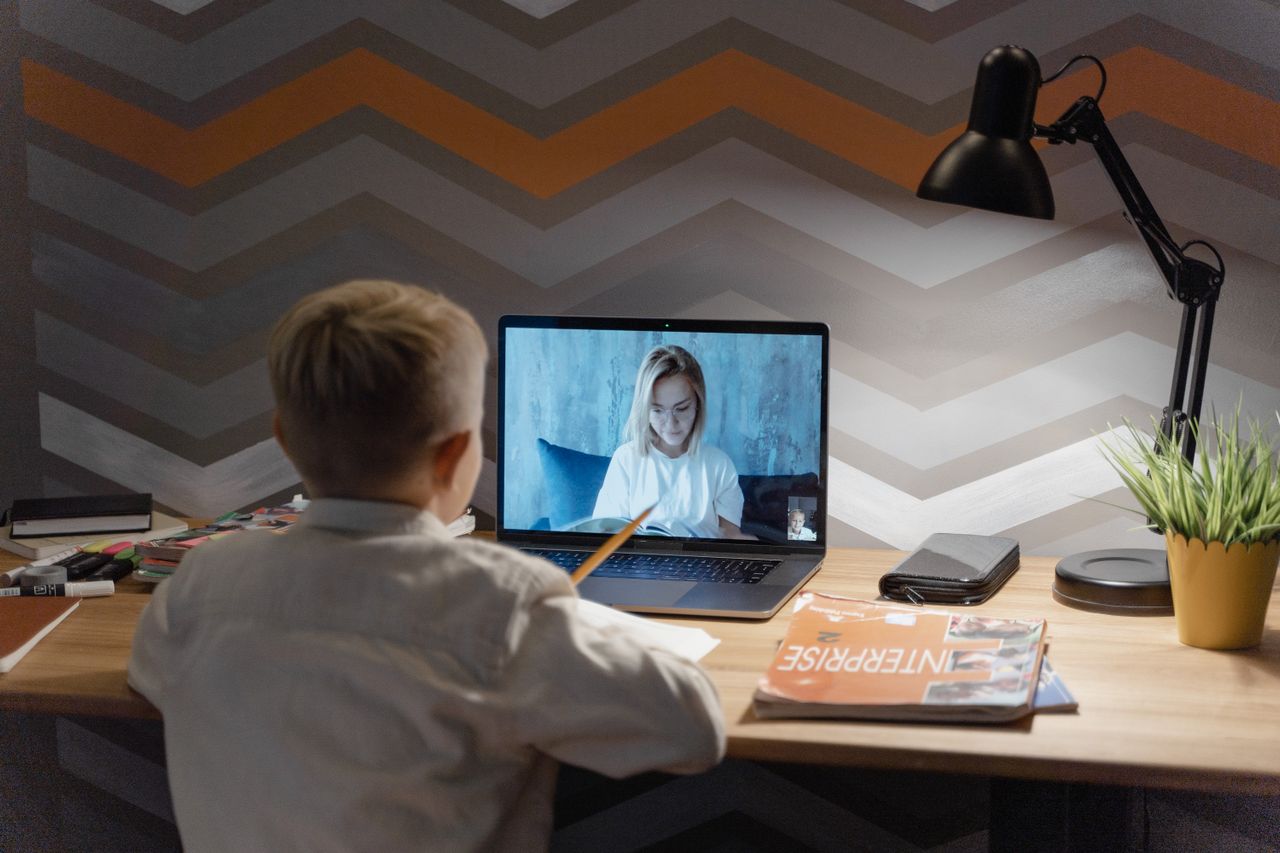Digital Skills and Online Learning