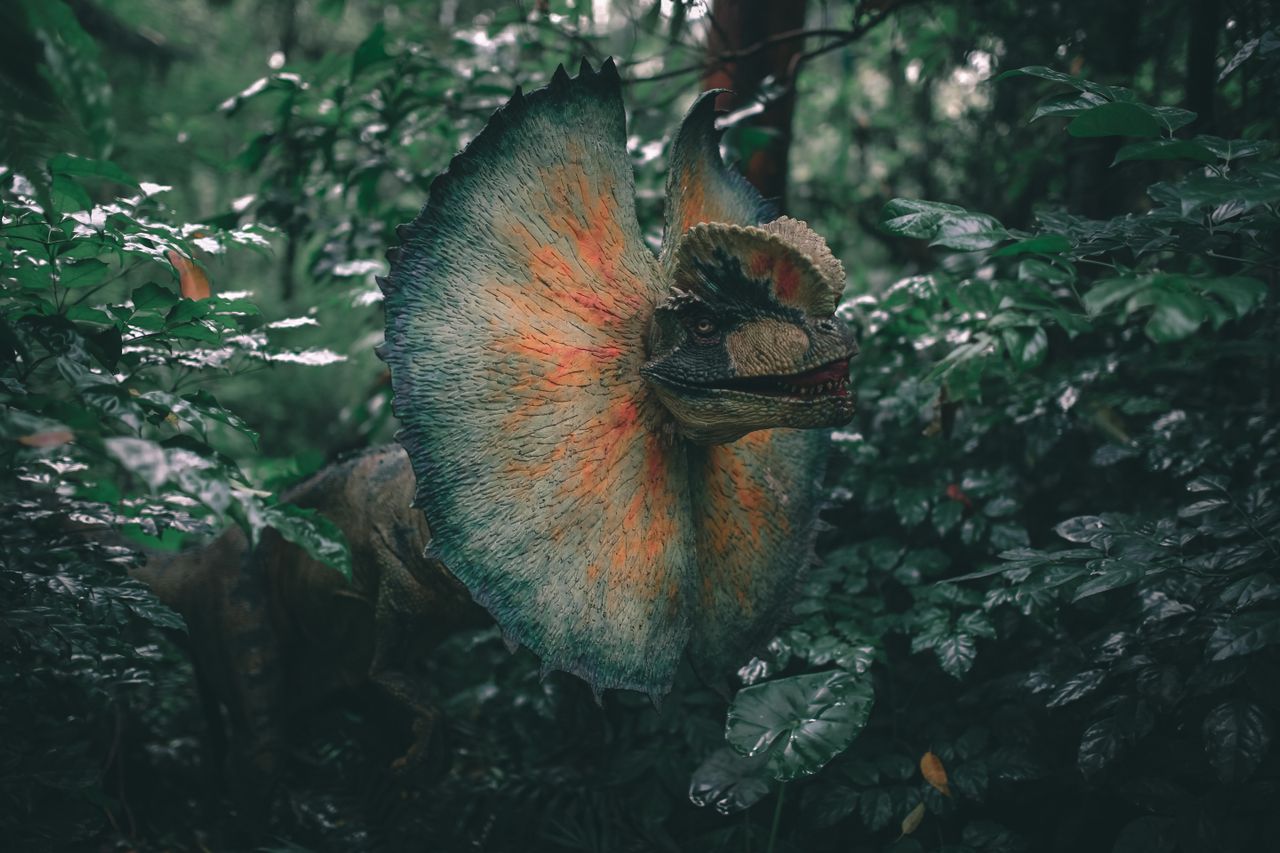 The Mysterious World of Cryptozoology