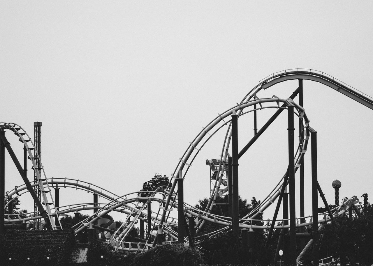 The Thrill of Roller Coasters