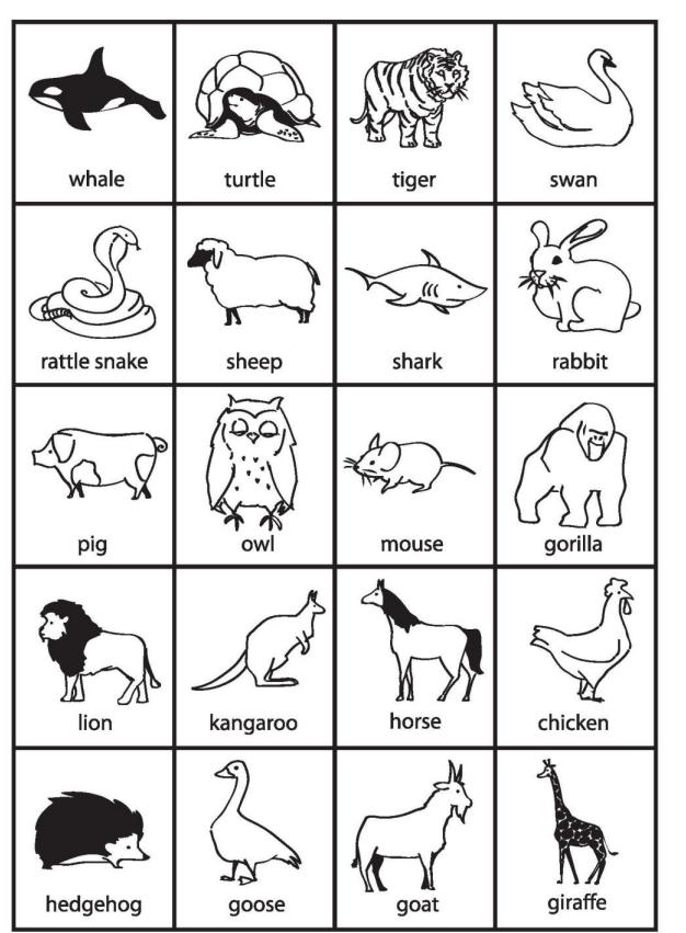 Animals 1