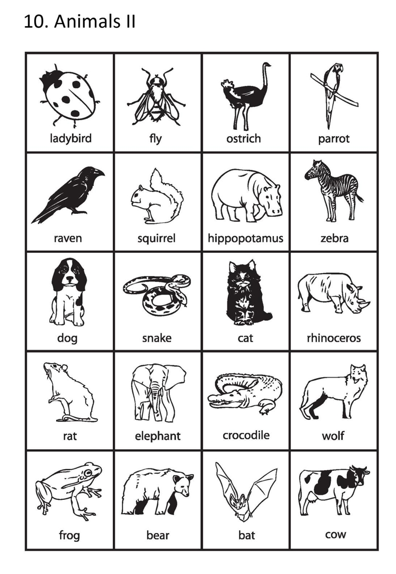 Animals 2.