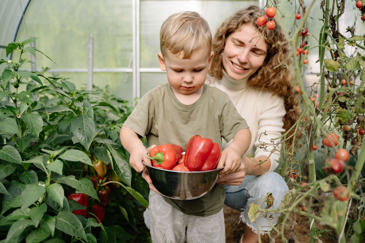 Grow Your Own Vegetables at Home — An Easy Guide
