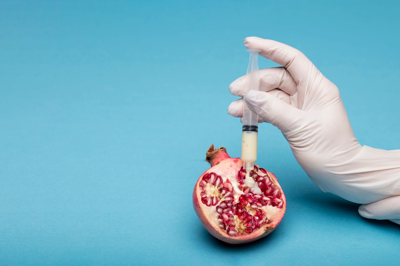 GMO Food: Science on Our Plates