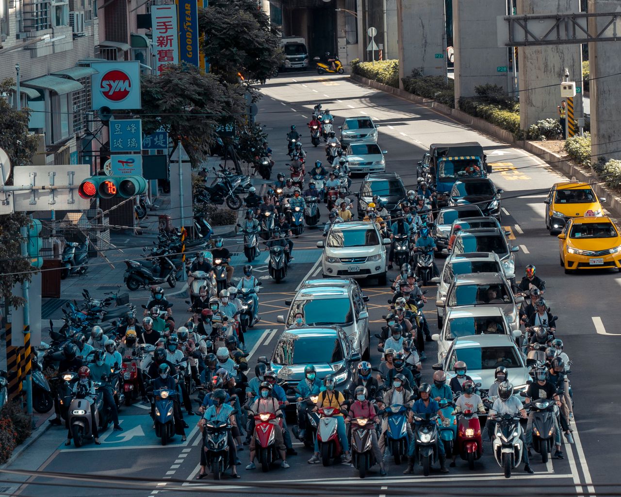 The impact of motorization on the environment and society