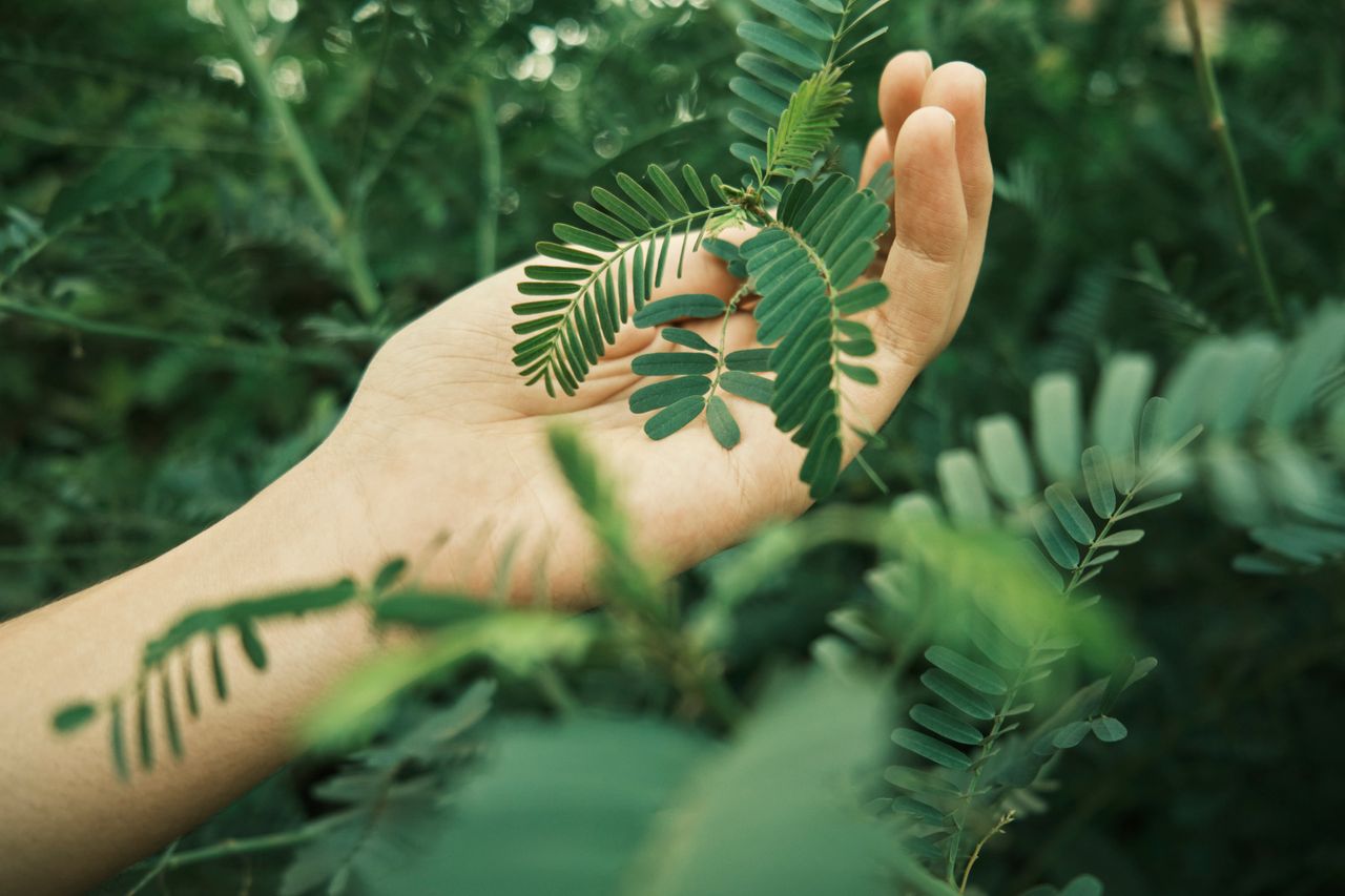 Sustainable Practices