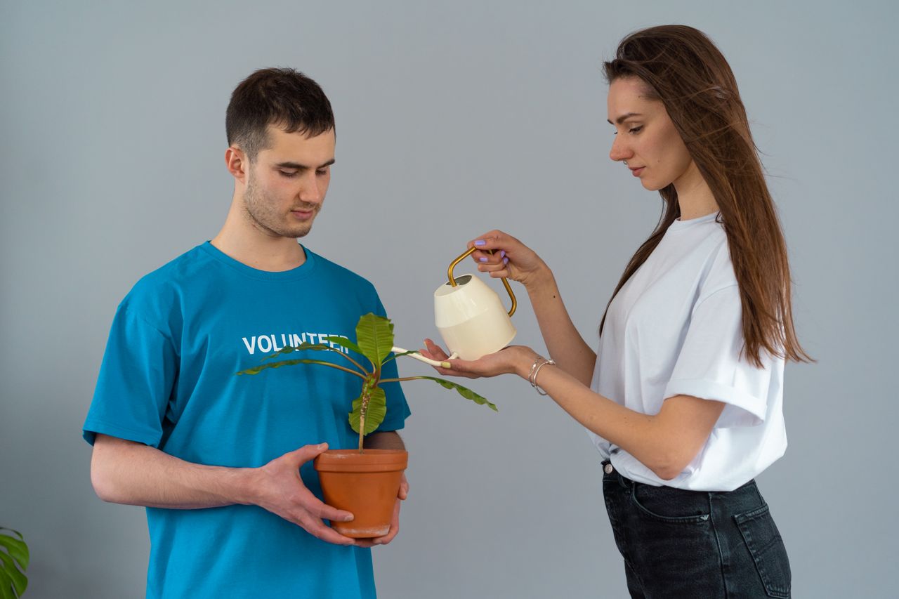 Voluntary Work