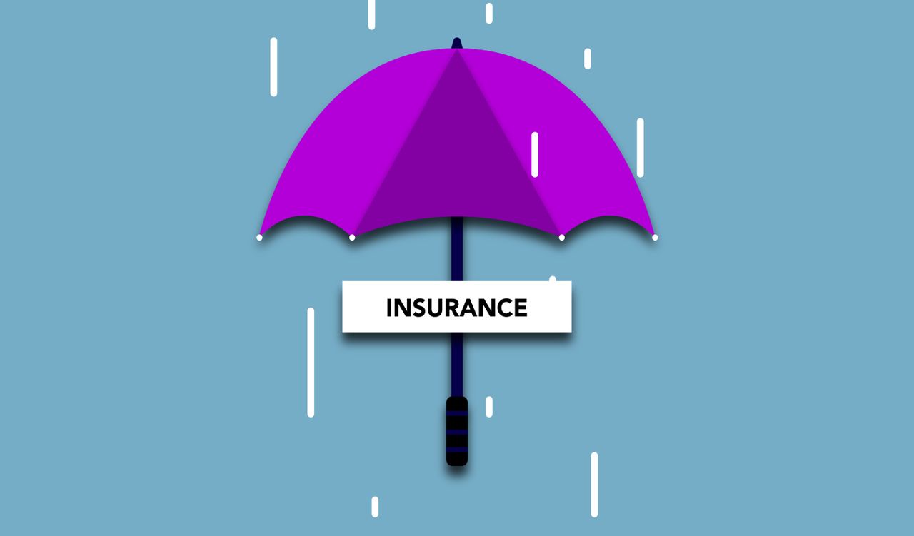 Insurance and Risk Management