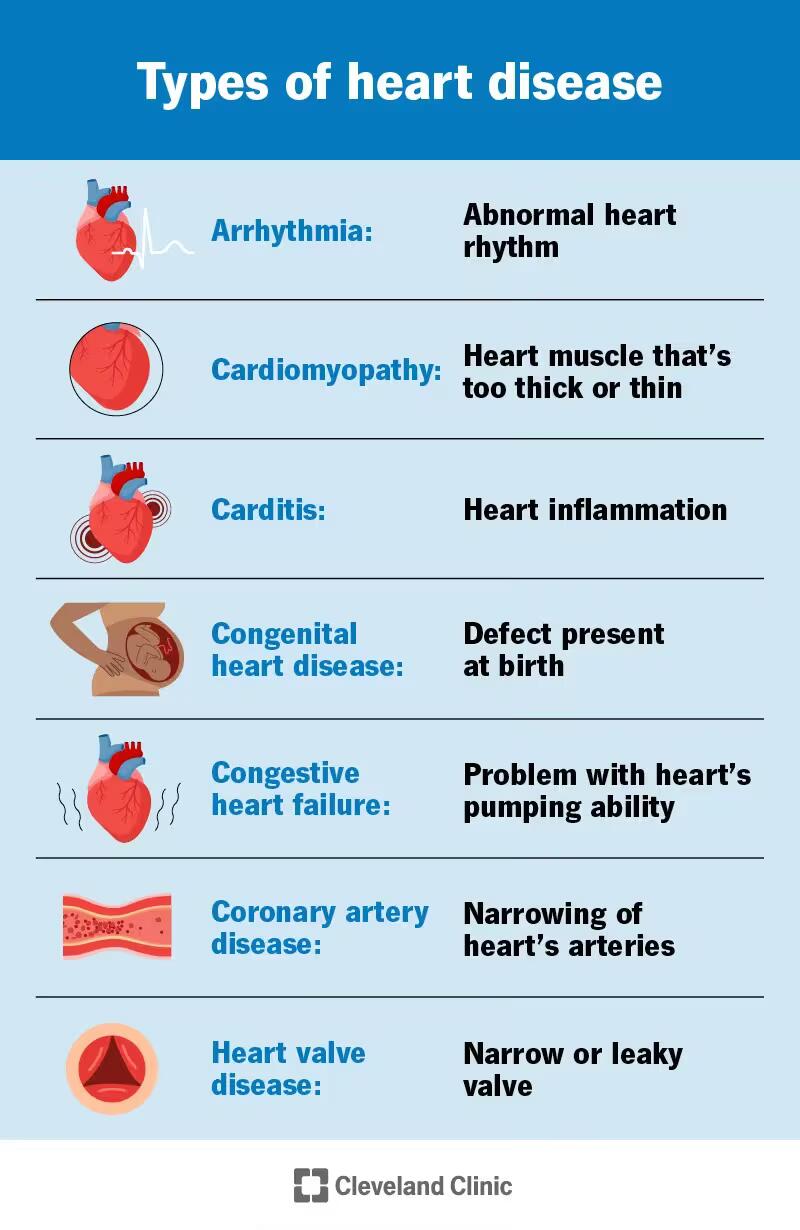 24129-heart-disease-cv.jpg
