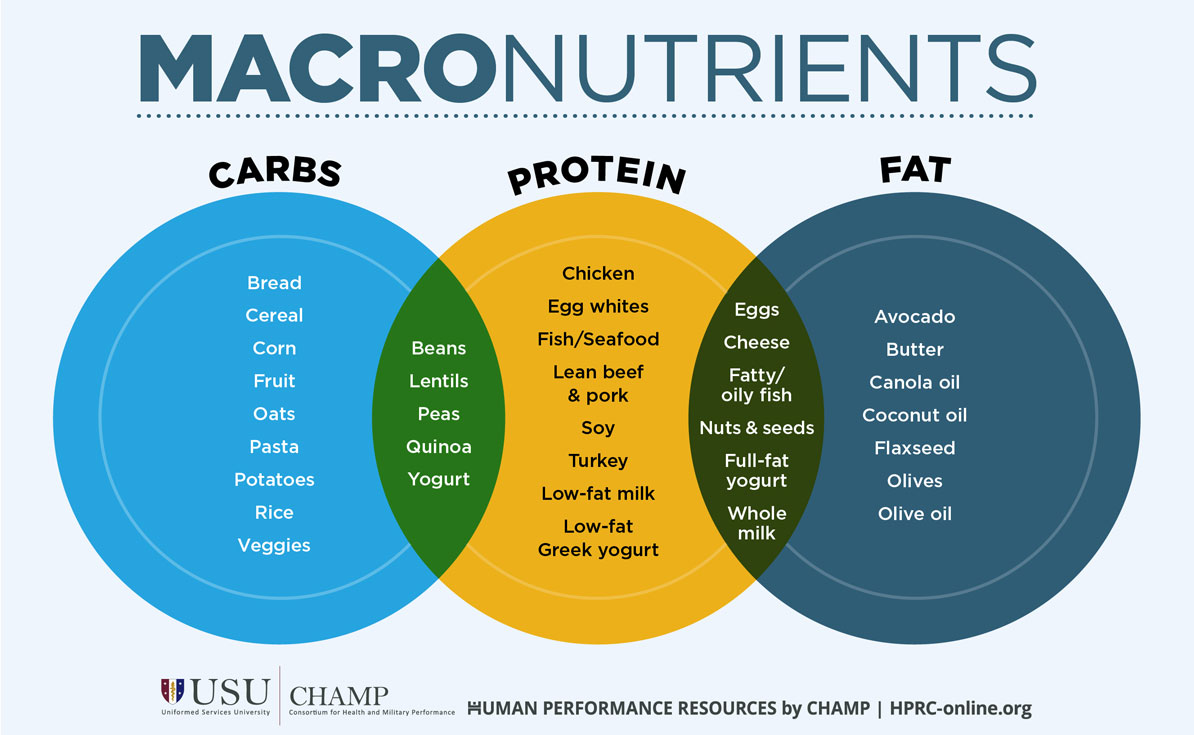 Macronutrients.jpg