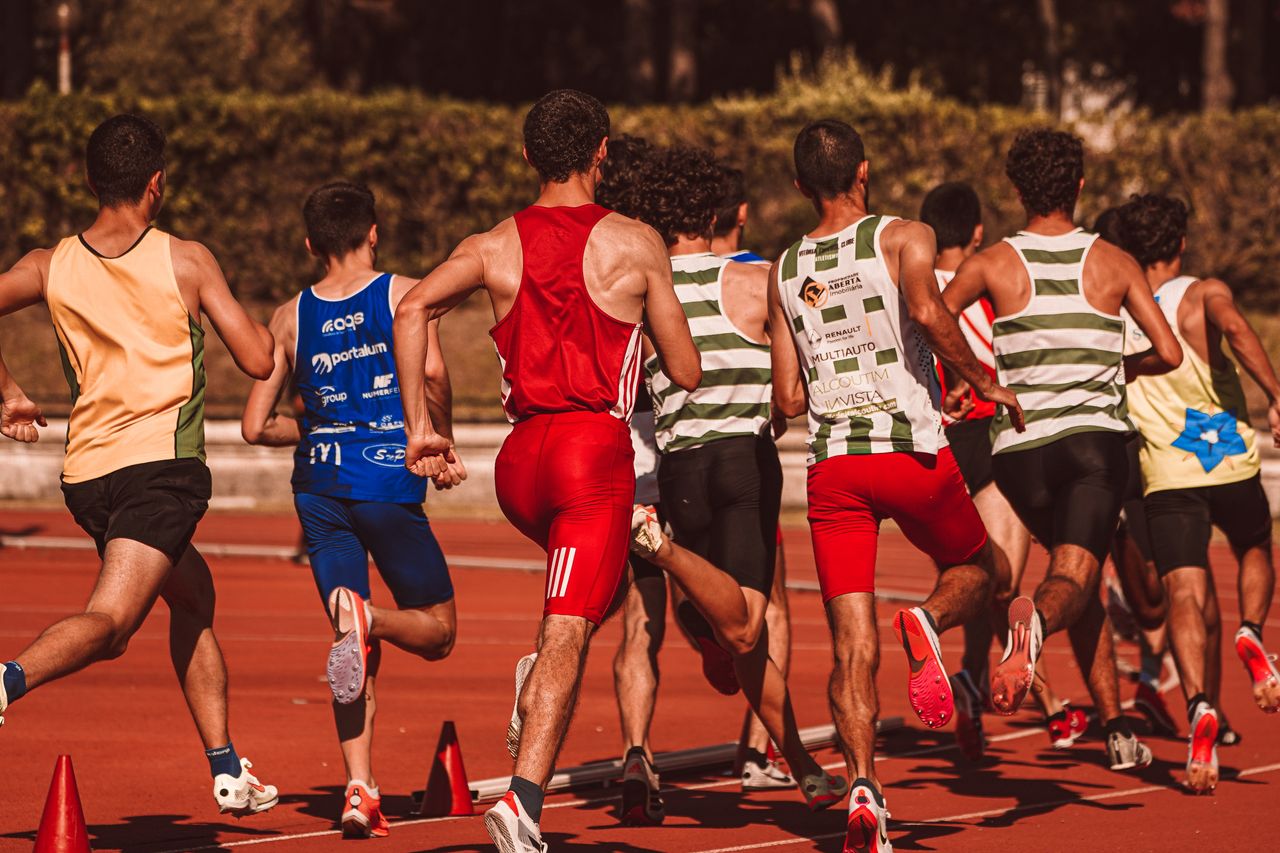 Sports, favorite sports, school sports