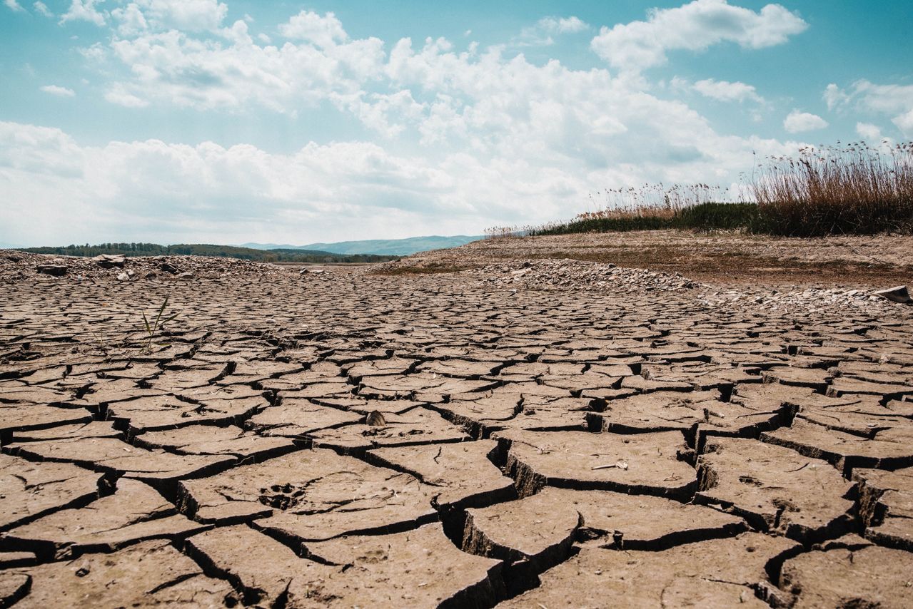 Climate Change and Sustainability