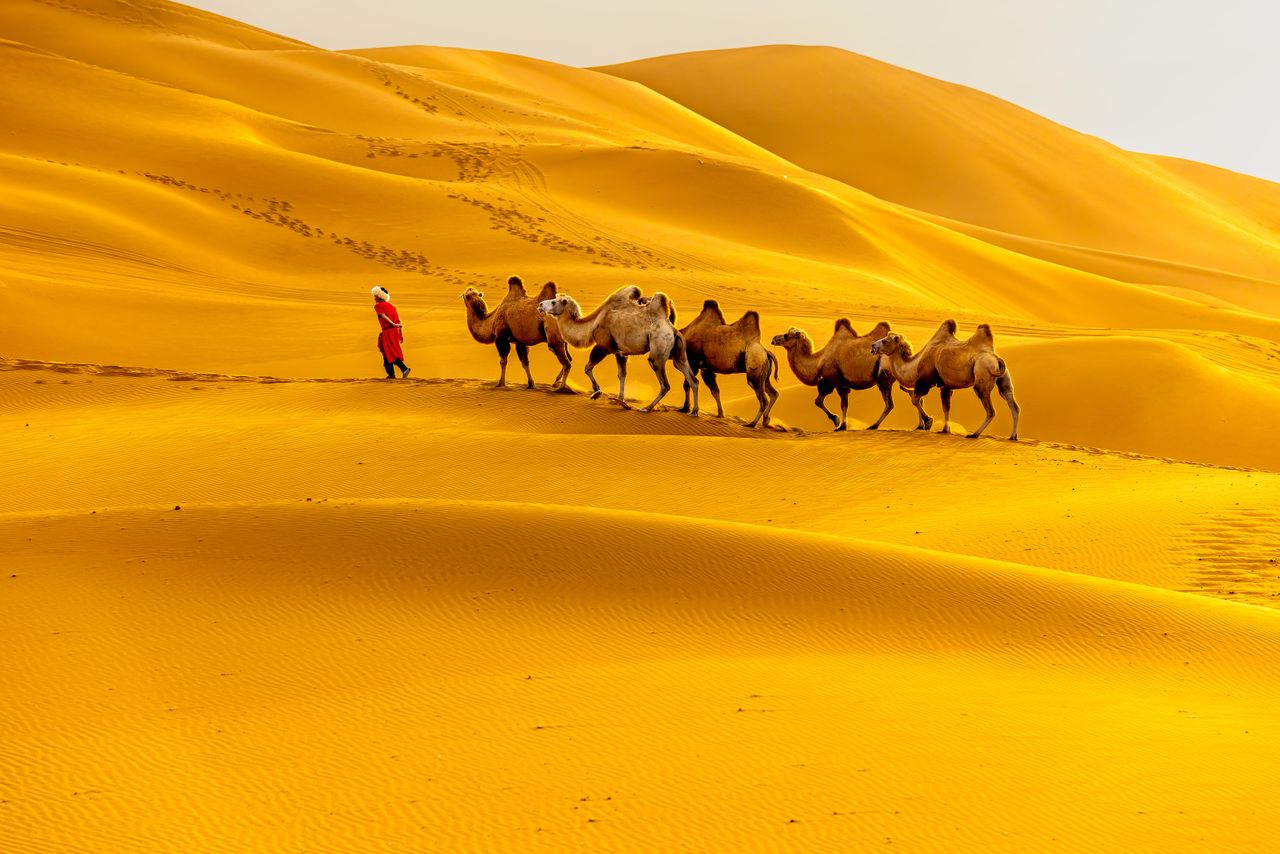 The Amazing History of the Silk Road