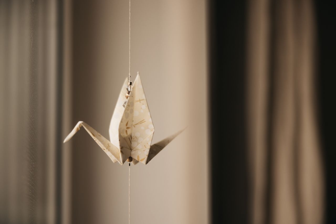 A Beginner’s Guide to Origami