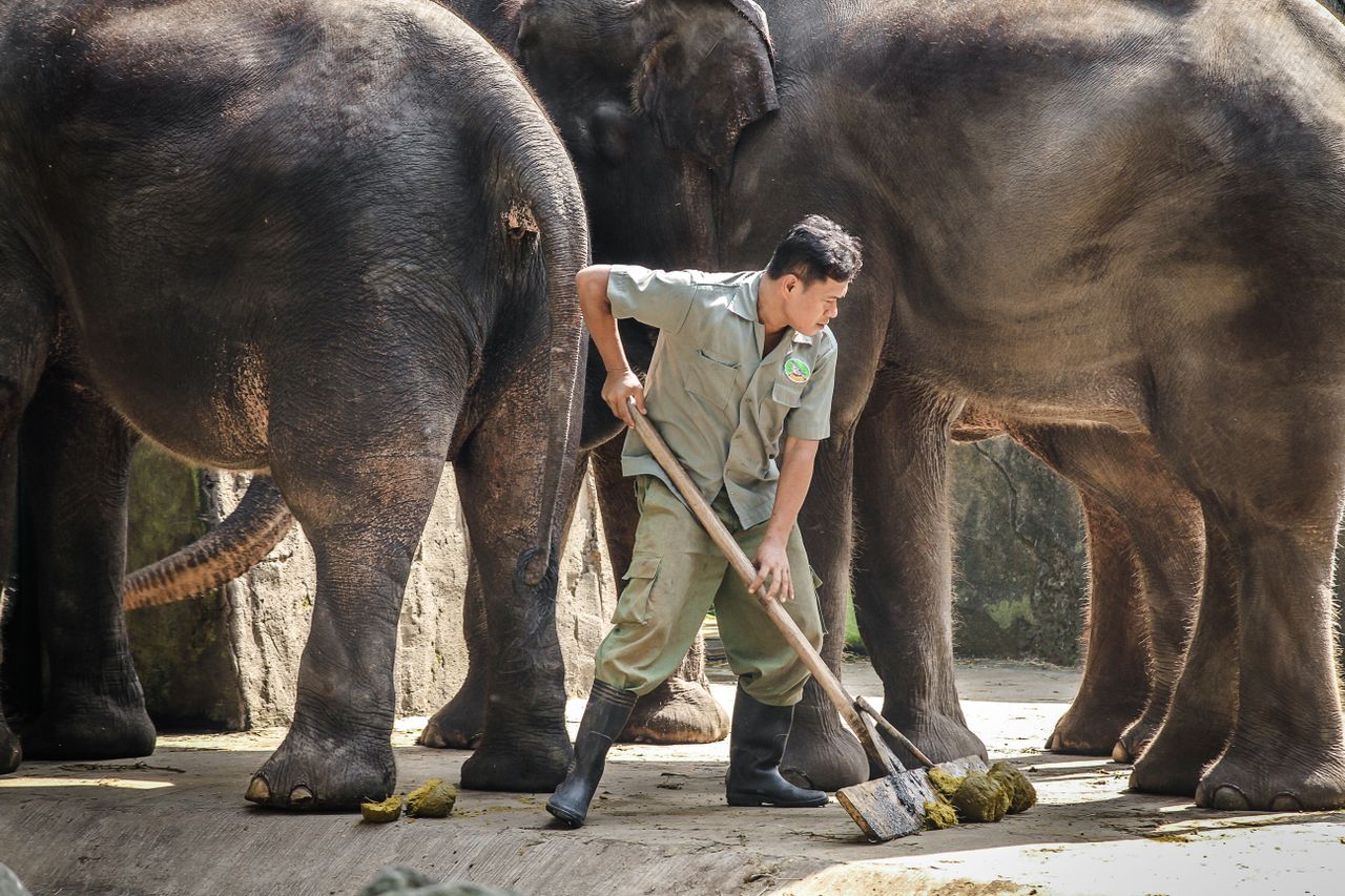 A Day in the Life of a Zookeeper