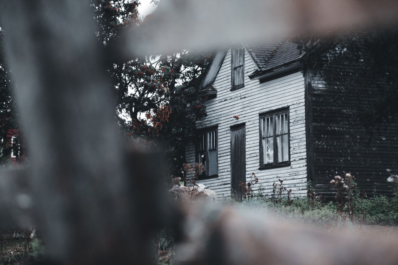 A Visit to a Haunted House